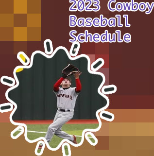 Razorback baseball score